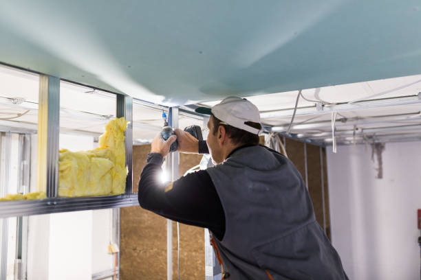 Best Residential Insulation in Nellis Af, NV